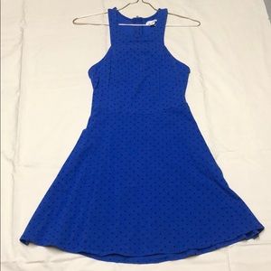 AE Skater Polka Dot Dress